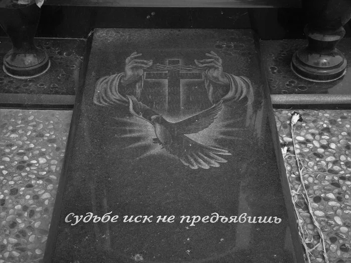 mQkqqDXSIhs.jpg