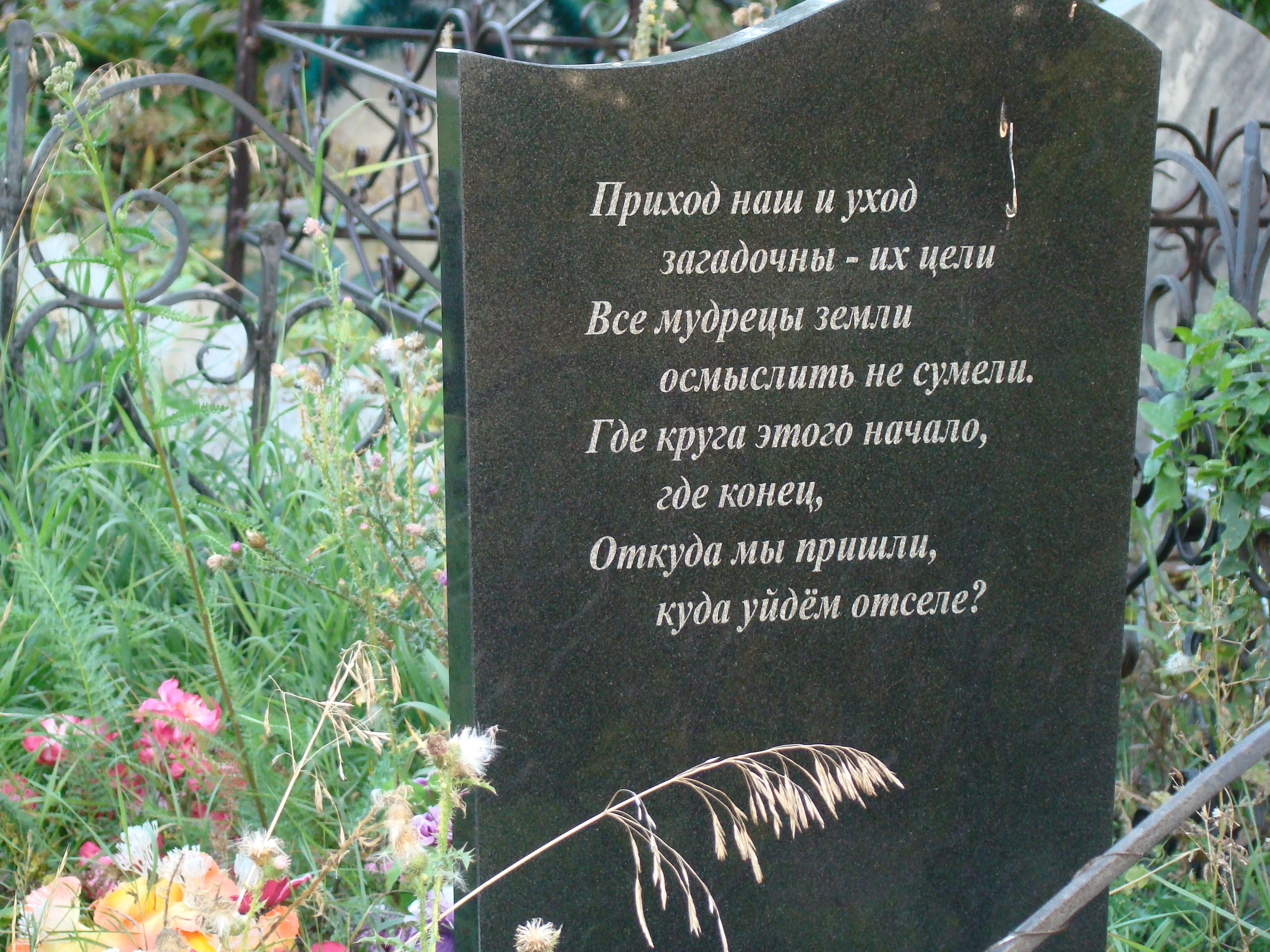 MutZu6_Mw6g.jpg