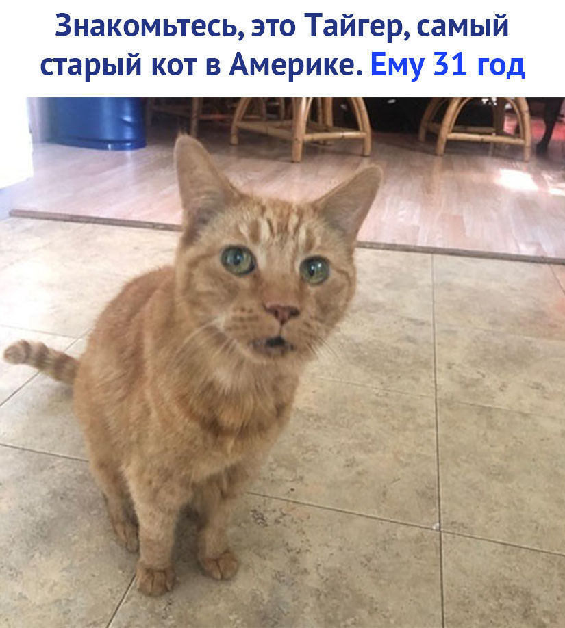 mZxzNEohujw.jpg