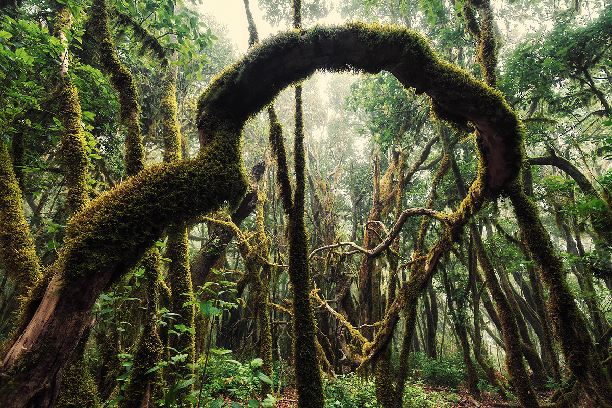 Natural-beauty.jpg