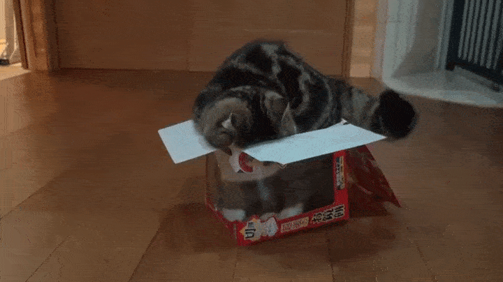 novie-smeshnie-gifki-12.gif