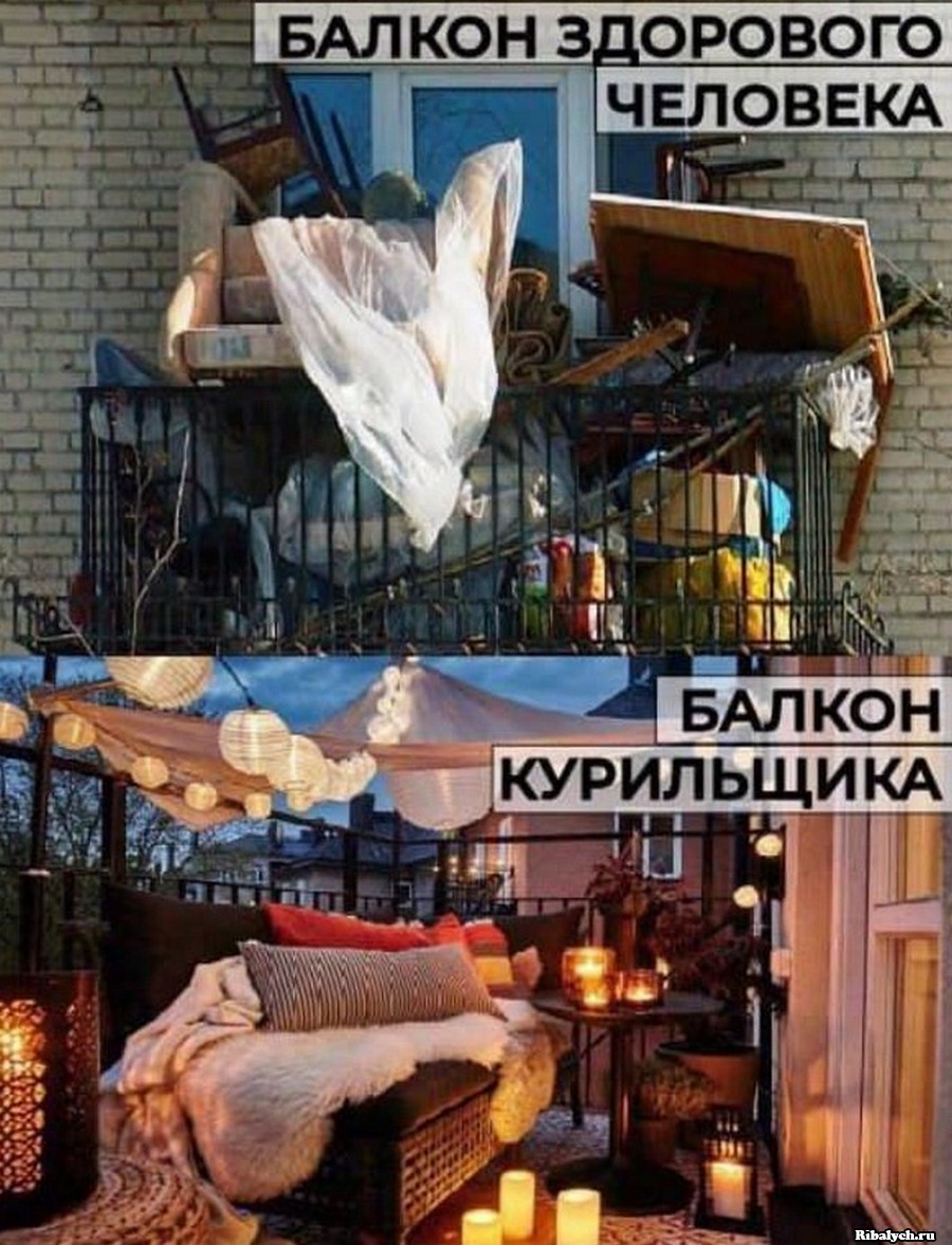 novye-prikolnye-kartinki_030.jpg