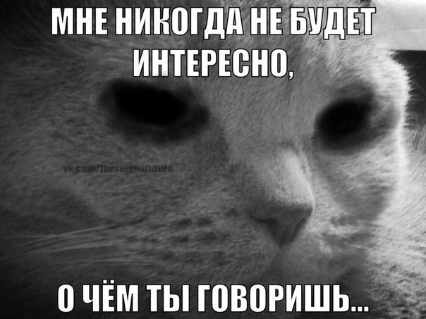 NQVX6gD4OP8.jpg