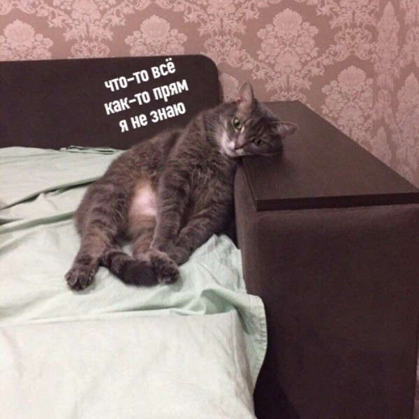 nRQtTB9_Du4.jpg