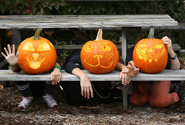 nybg_pumpkins_2_edit.jpg