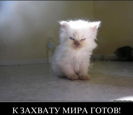 nzgu-vsicfe.jisnE.jpg