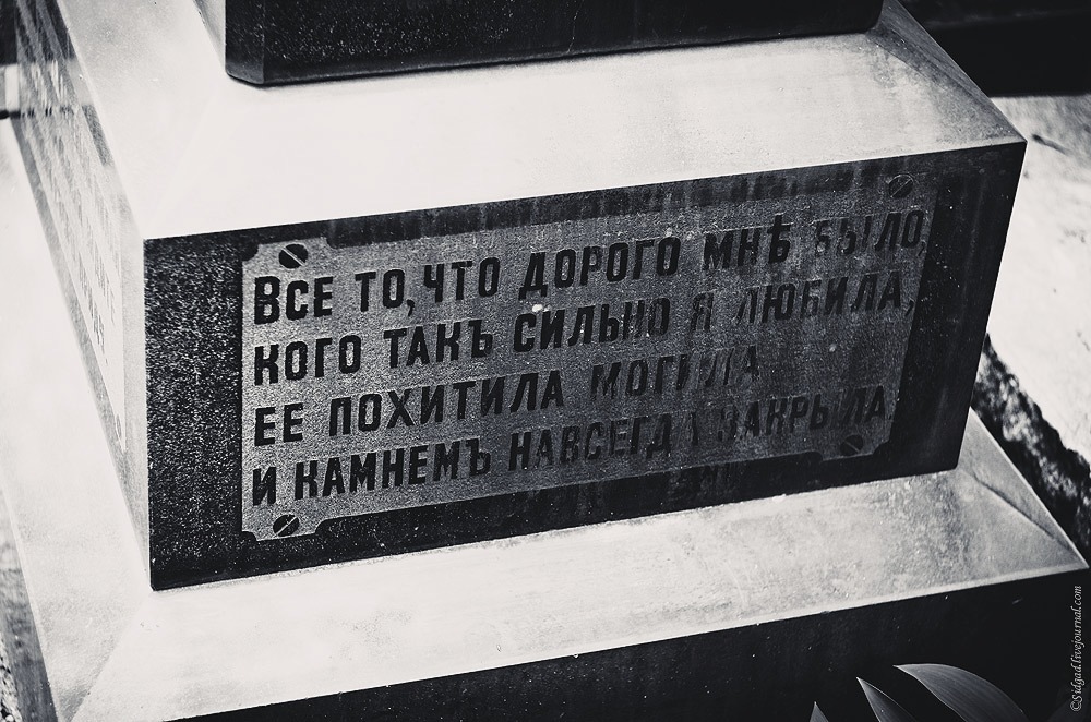 OciBz4pir8E.jpg