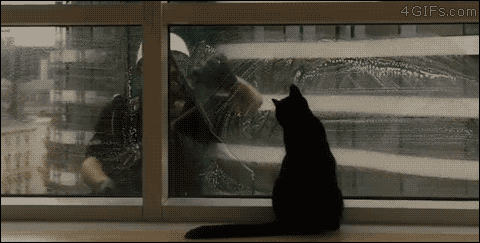 OIUFwdA.gif