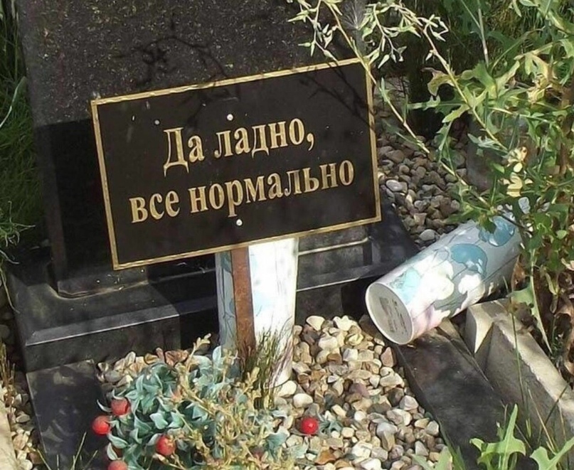 onqT8m93mzc.jpg