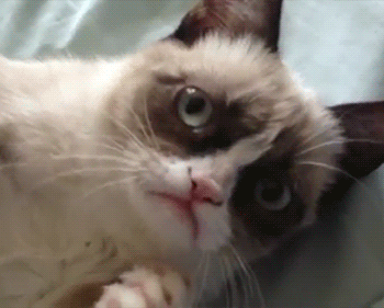 orig.gif