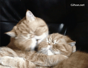 original.gif