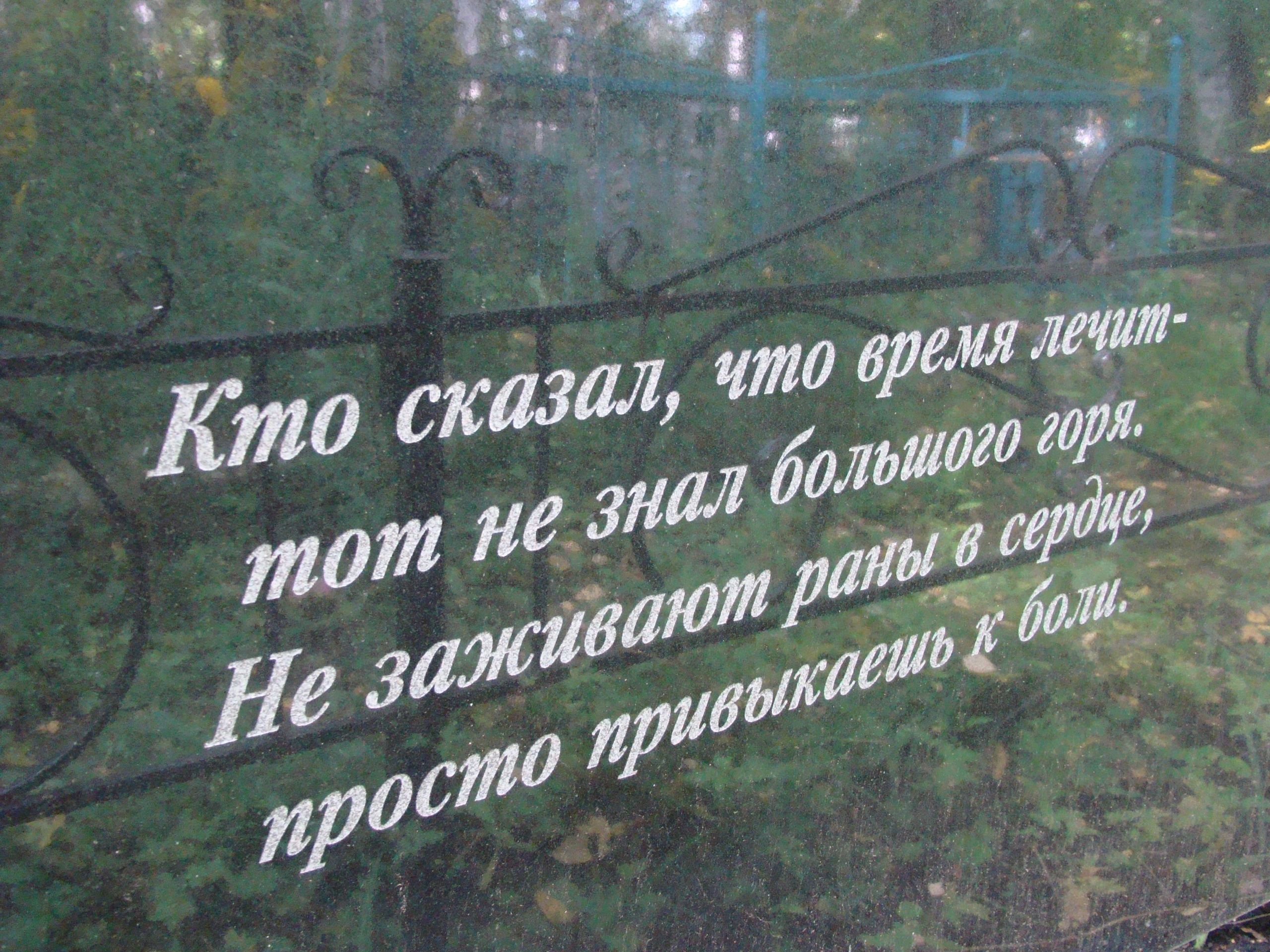 oVAHvbQsdCM.jpg