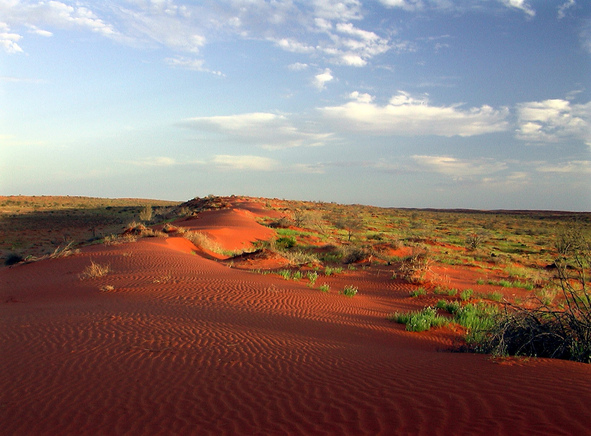 panoramio-24258973.jpg