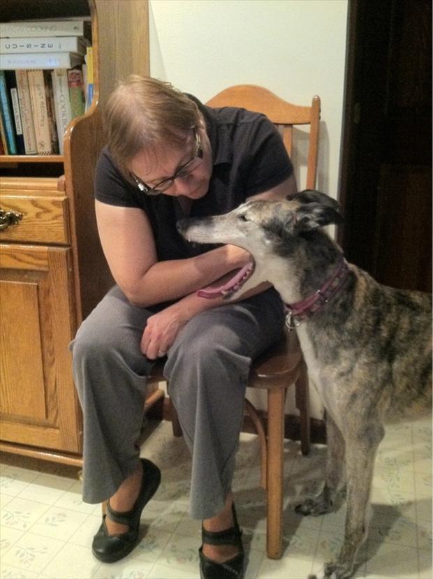 perfectly-timed-pictures-woman-with-hand-in-dogs-mouth.jpg