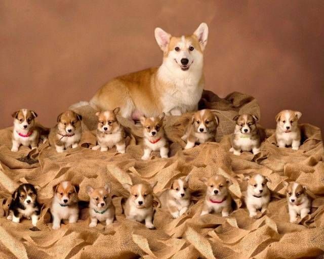 PGGYmen9RI0.jpg