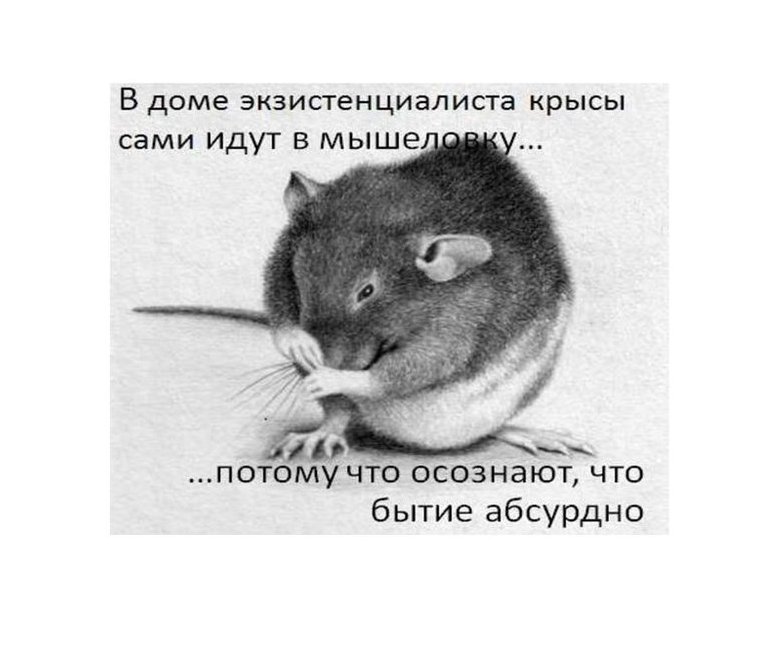 photofacefun_com_1522123497.jpg