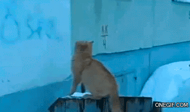 prikolnie-besplatnie-16.gif