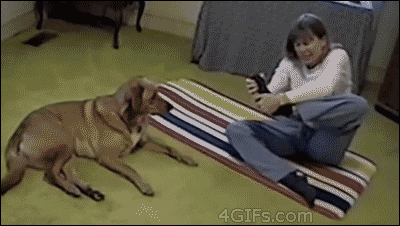 prikolnie-gifki-skachat-besplatno-12.gif