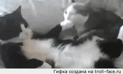 prikolnie-gifki-skachat-besplatno-13.gif