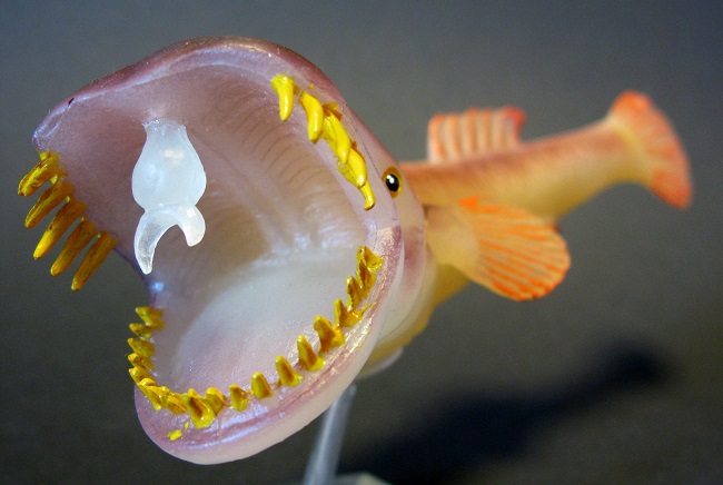 prince_axels_fish.jpg