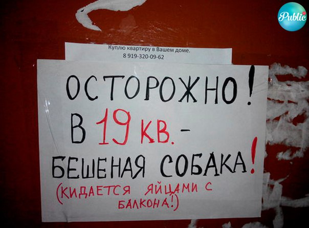 q0Zcoaw0be4.jpg