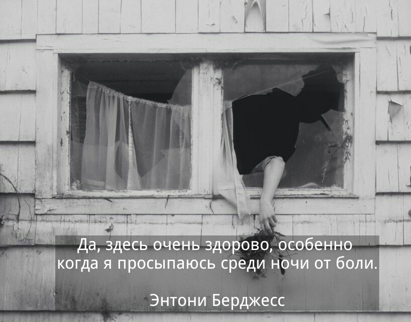 QjwSA9KyZB0.jpg