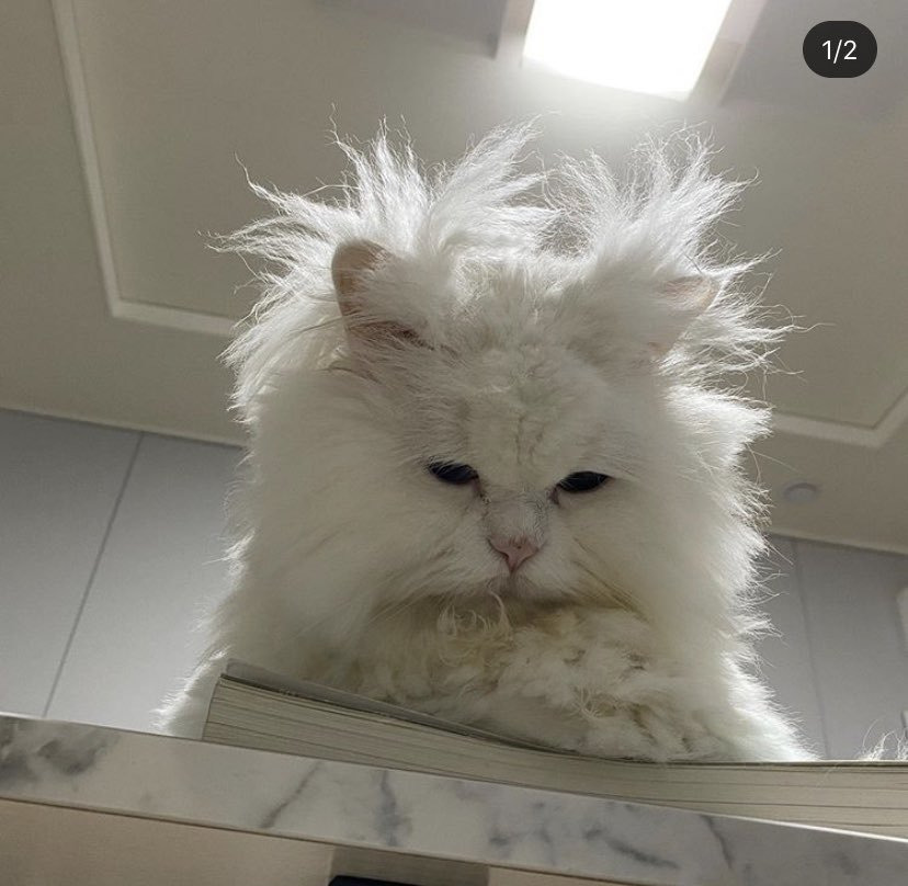 qPRFbZj3yPw.jpg