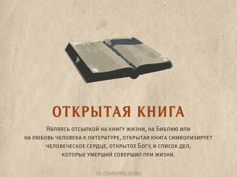 qqe5z3evrNc.jpg
