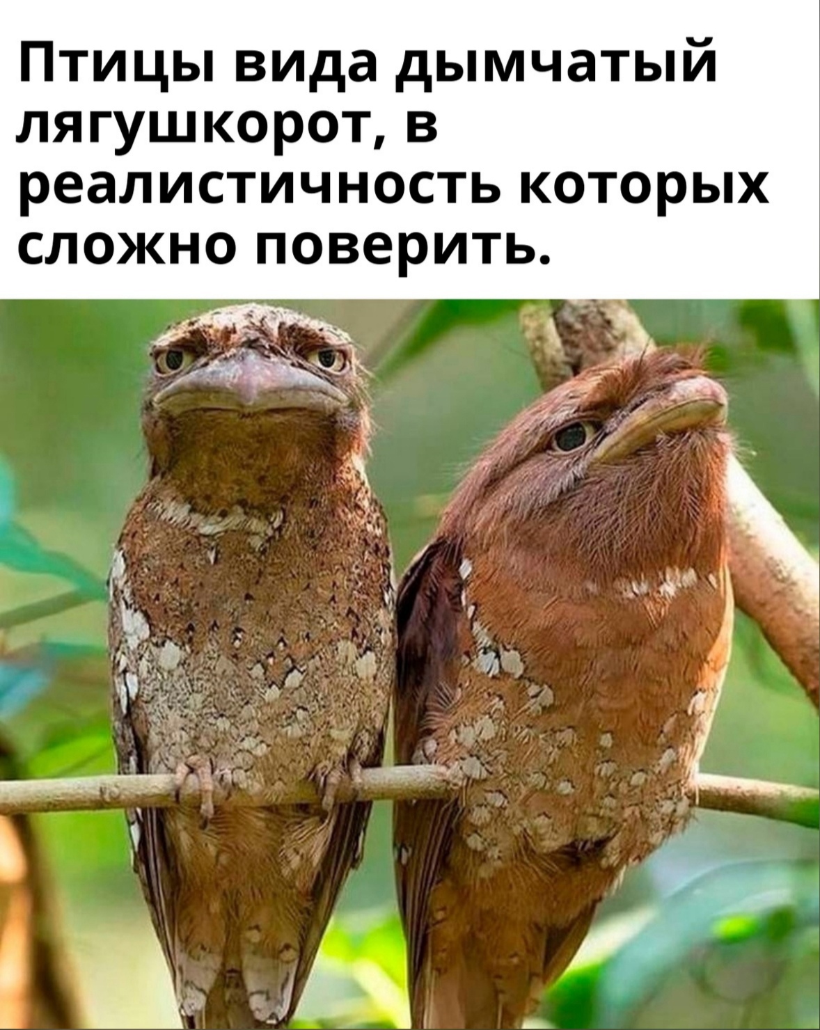 QuGfnn9ZT1g.jpg