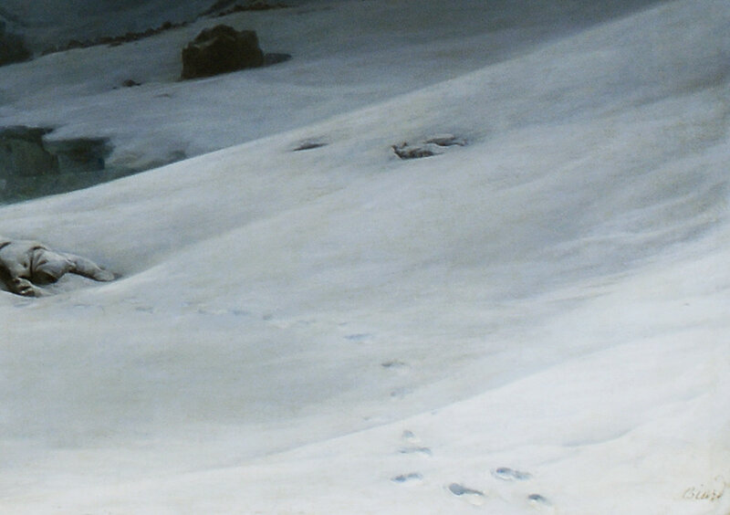 rceNUT_qP74.jpg