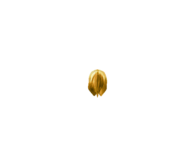 received_2240922172893657.gif