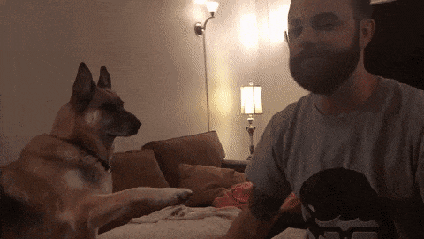 redkie-gifki-humoraf-3.gif