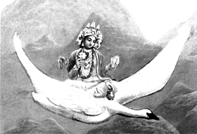 Ris_10_Brahma_400_272_90_We.jpg