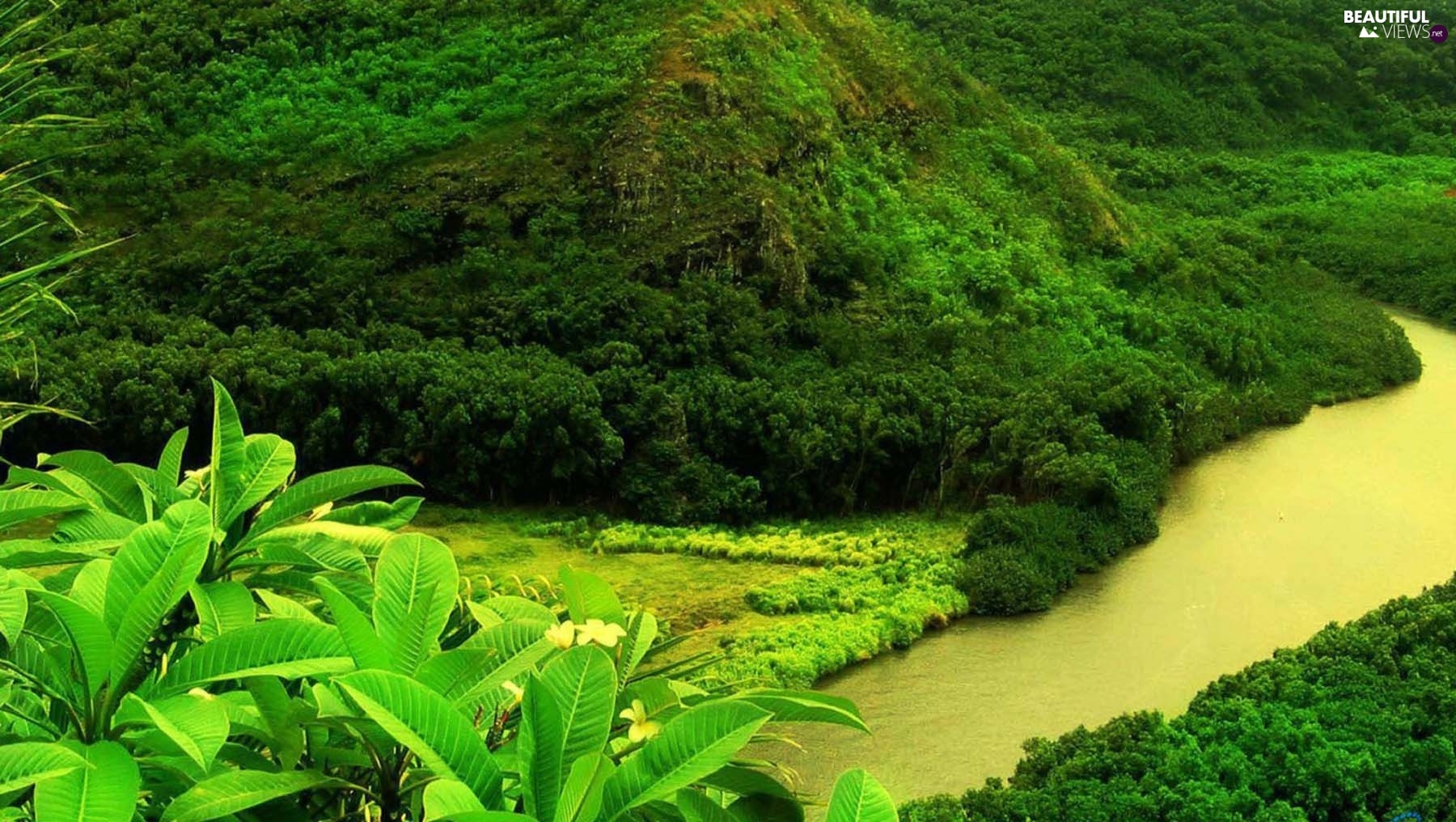 river-mountains.jpg