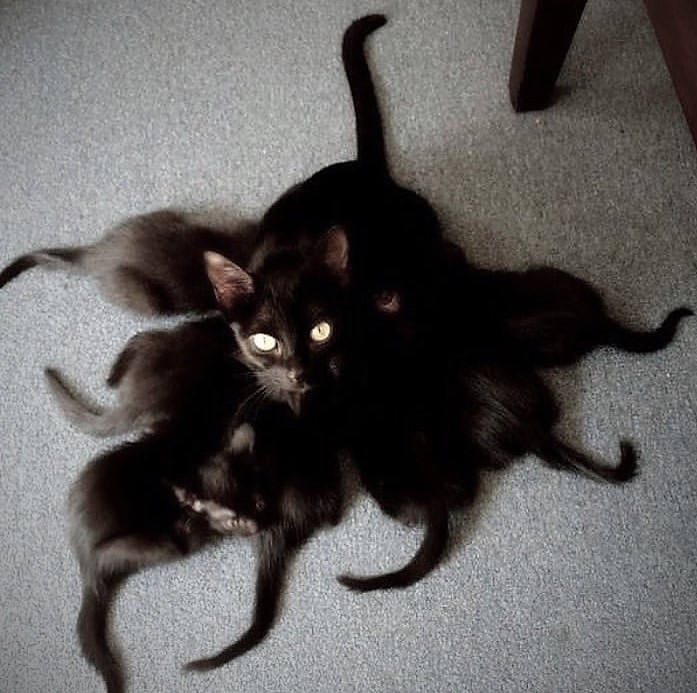 rmyxrvNHriA.jpg