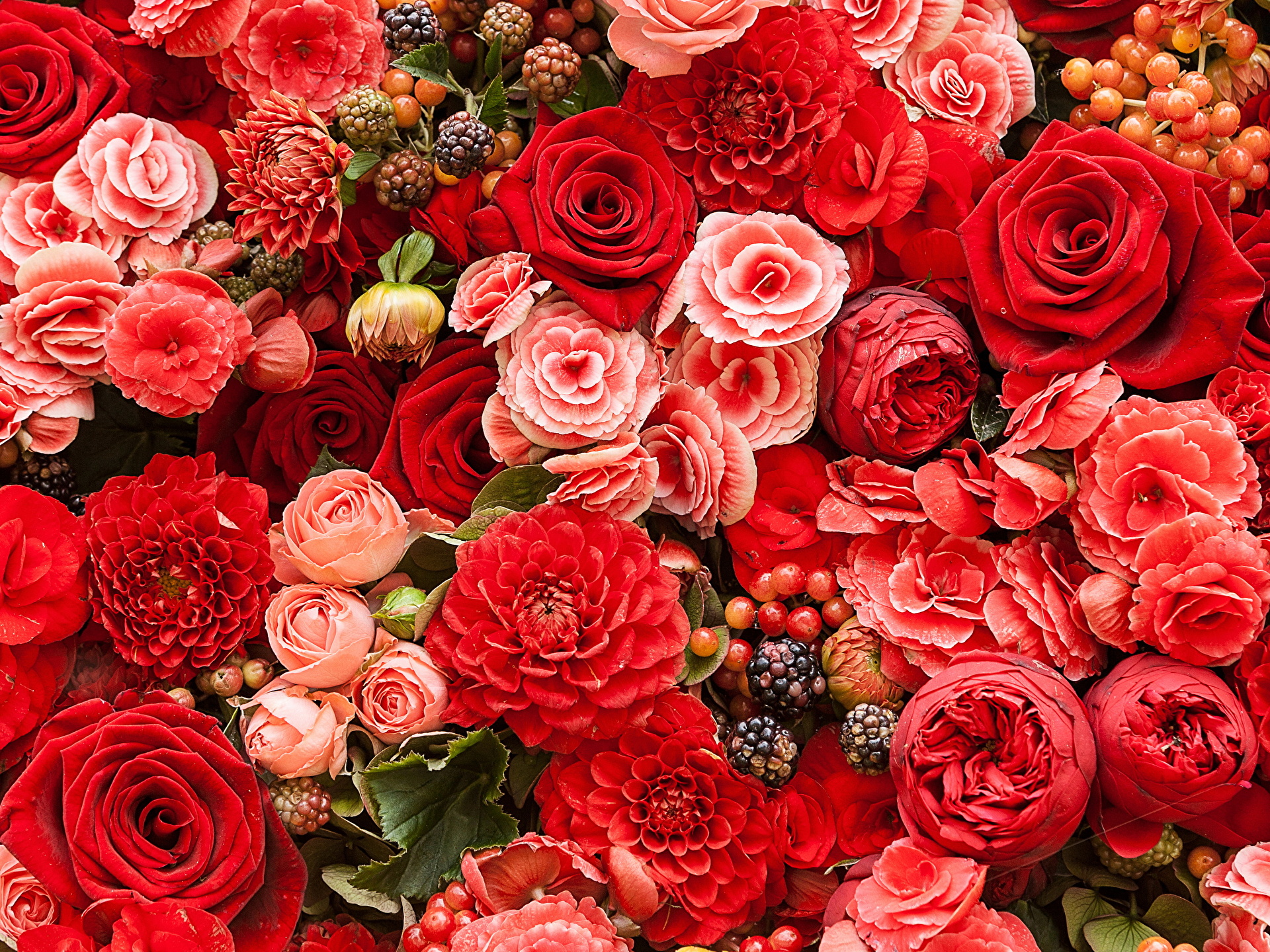 Roses_Ranunculus_Dahlias_370889.jpg