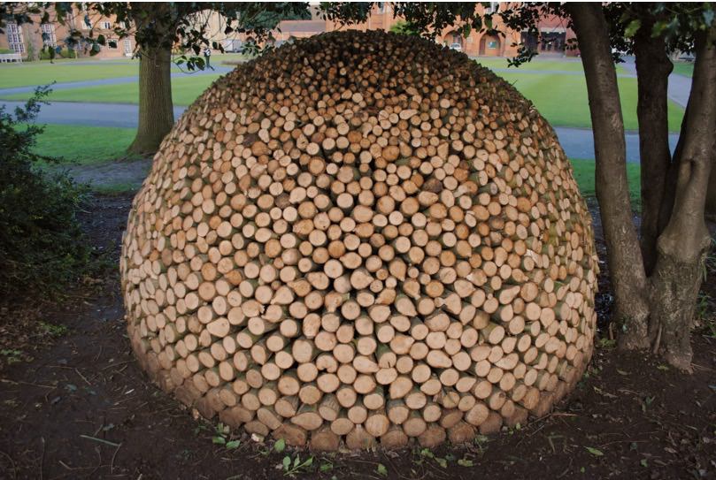 round-wood-pile.jpg