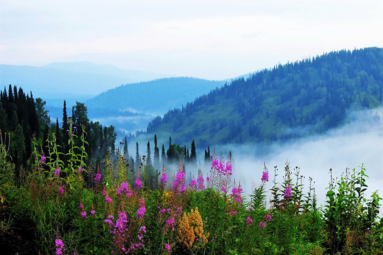 Russia_Siberia_Alatau_Hill_Fog_Shrubs_534957_1280x853.jpg