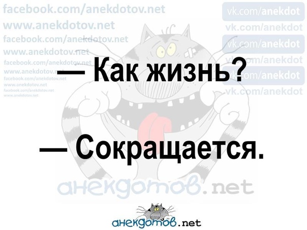 -RXOitrsF8U.jpg