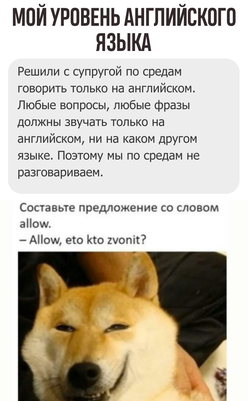 s3Eowvo80Tk.jpg