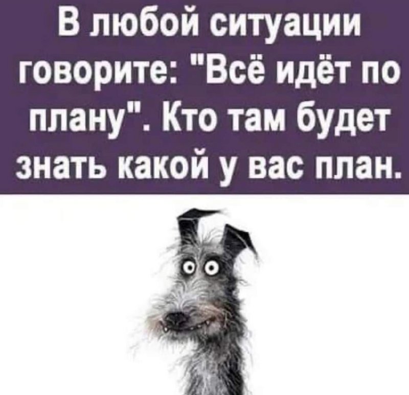 Screenshot-20220501-132454-Chrome.jpg