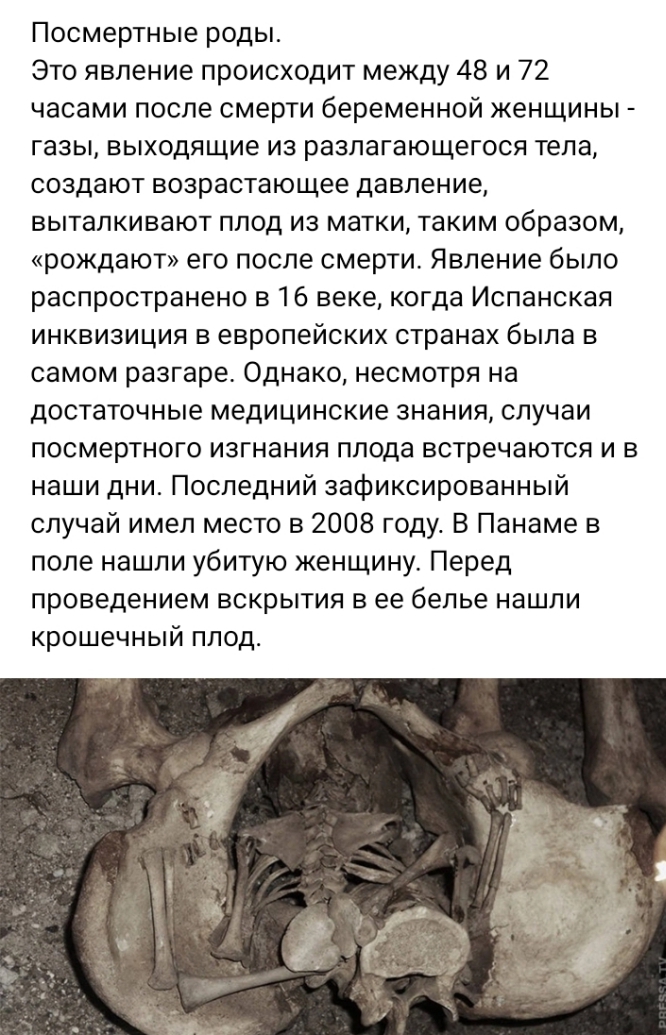 Screenshot_20231001-221137_1.jpg