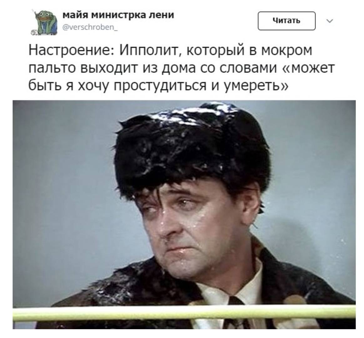 SgnGjhZ81mk.jpg