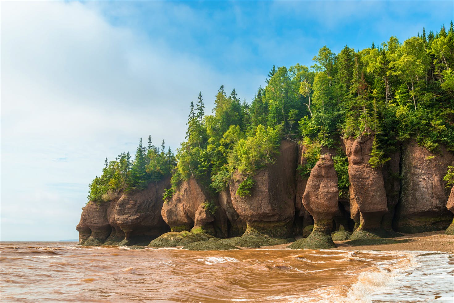 shutterstock_214298878-7c77d8fc5fde.jpg