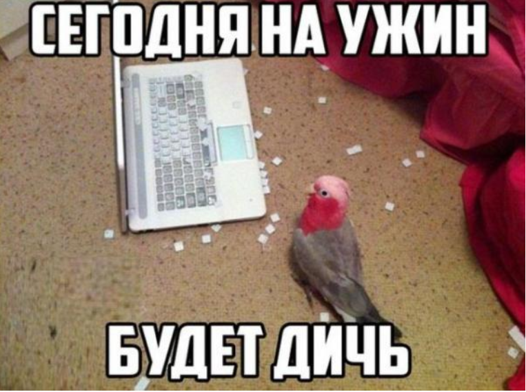 siava.ru_Снимок 10.PNG