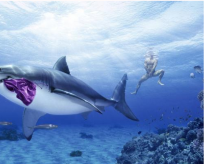 siava.ru_Снимок 11 (1).PNG