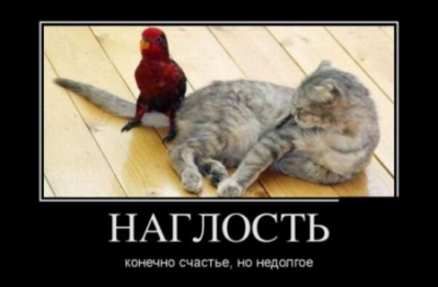 siava.ru_Снимок 11.PNG