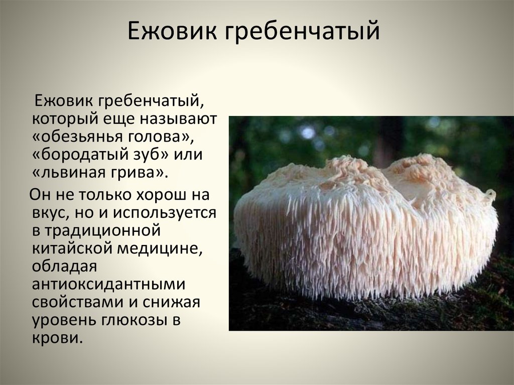 slide-5.jpg