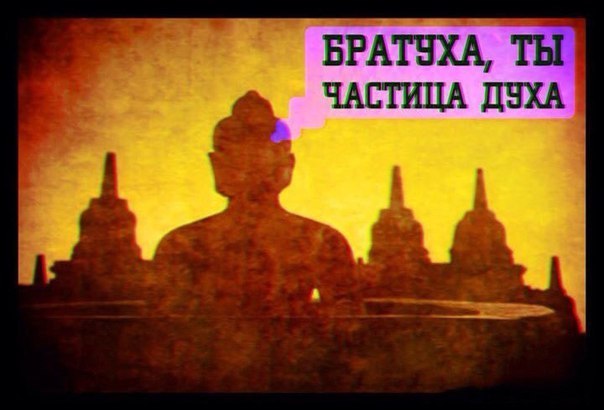 Sns-slYDBAU.jpg