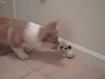 sourcЯВАe.gif